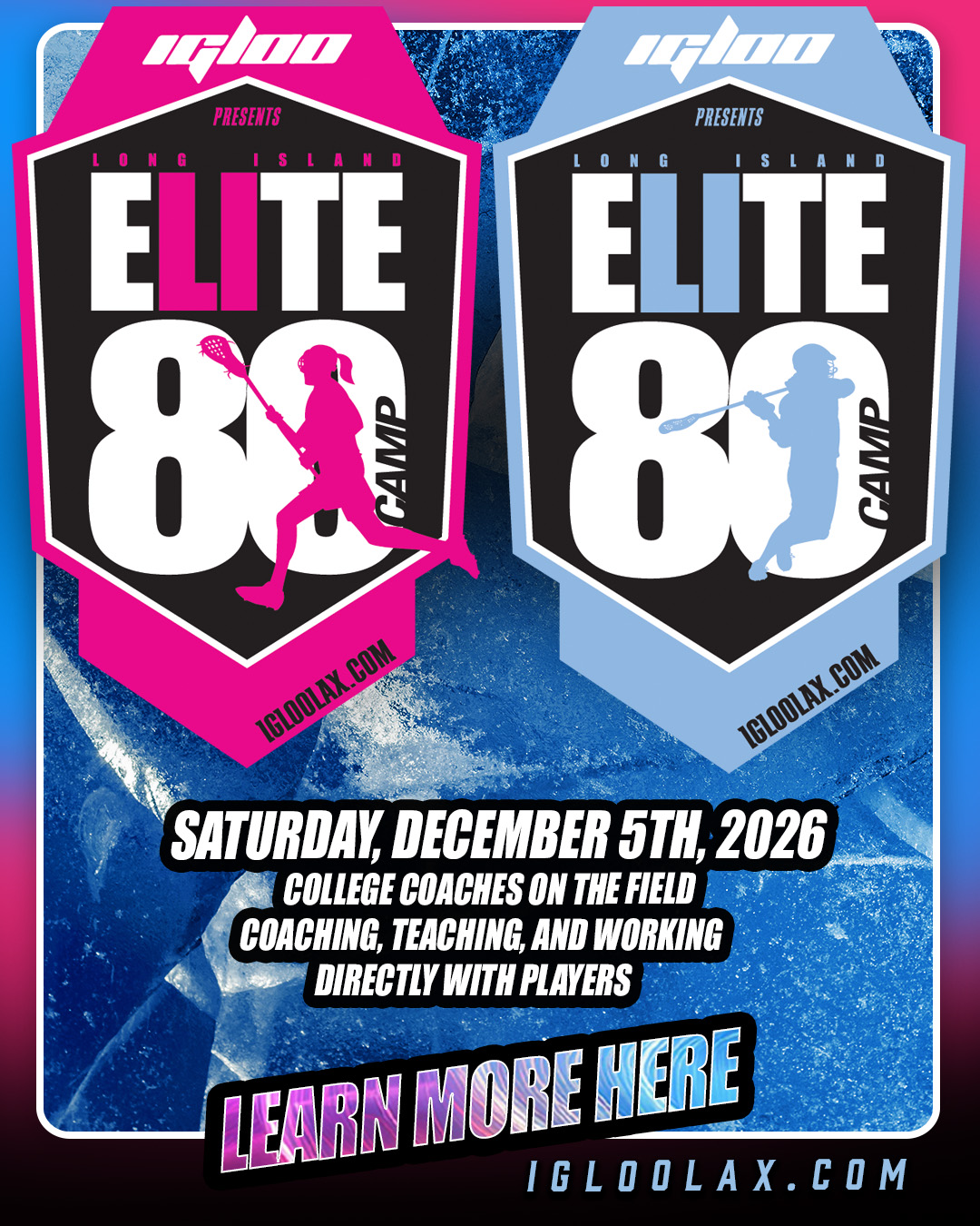 elite80-webcards